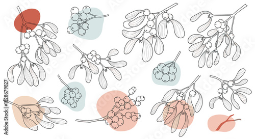 Collection of hand-drawn mistletoe branches with leaves and berries in an elegant line art style for christmas and holiday designs.