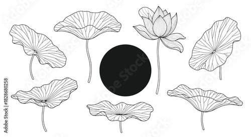 Beautiful collection of hand-drawn lotus flowers and leaves in a delicate line art style arranged around a black circle frame.