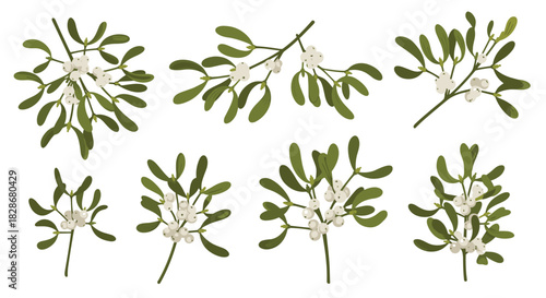 Beautiful collection of eight hand-painted mistletoe branches with green leaves and white berries for christmas holiday decor.