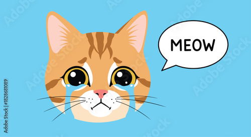 A very sad cartoon ginger cat with large teary eyes crying and saying 'Meow' in a speech bubble on a blue background.