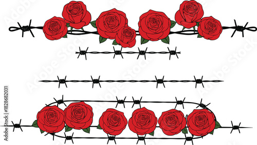 Barbed wire with red roses, symbolic contrast of beauty and pain, floral resilience artwork, romantic vector illustration, strength and tenderness design