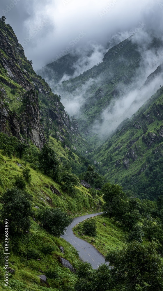 Obraz premium Winding road through lush green mountains shrouded in mist and low-hanging clouds.