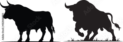 Two powerful black bull silhouettes standing and charging in a dynamic display of strength and wild energy against a white background