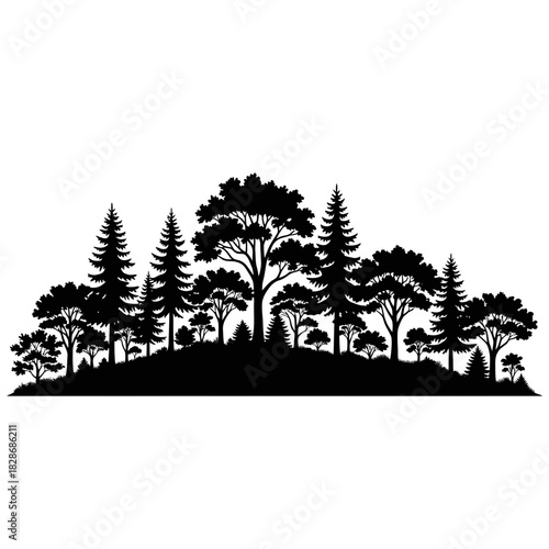 Elegant silhouettes of coniferous and deciduous trees in a forest scene