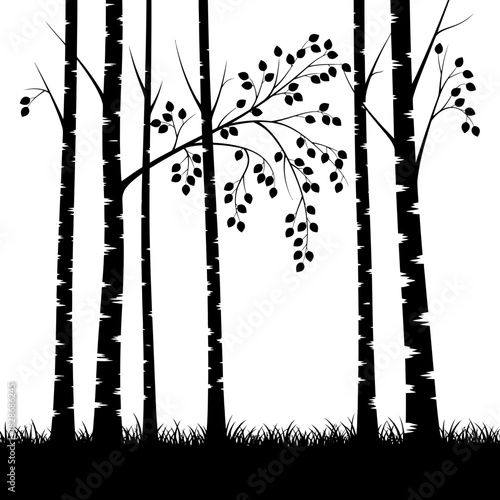 Enigmatic monochrome forest silhouette with leaves and grass texture
