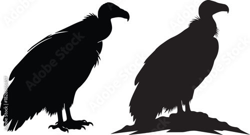 Two silhouette vultures standing side by side against a white background showing their distinctive shapes and feathers