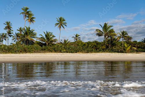 Serra Grande Bahia Authentic Tropical Landscapes Sea Coconut Trees Blue,Authentic landscape photography from Bahia, Brazil featuring the tropical beauty of Itacaré beaches with deep blue ocean