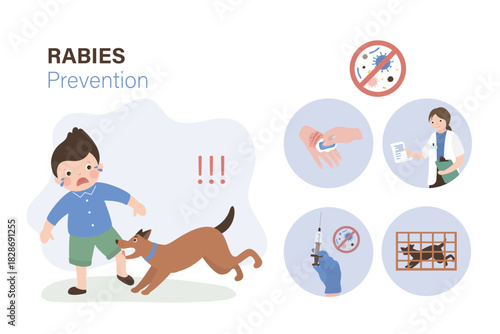 Rabies prevention, infographic banner. Homeless aggressive pet attacks and bites little boy. Angry street dog. Rabies in animals, the danger of non-domestic dogs to humans