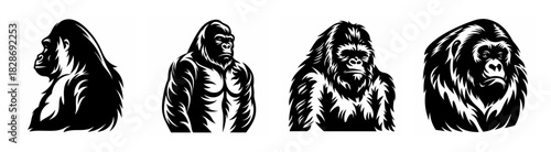 Four striking black and white graphic depictions of gorillas in various head-and-shoulder poses and angles