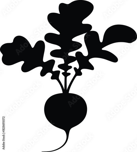 Silhouette of a fresh radish with green leaves and root on a white background