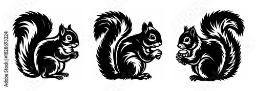 Three adorable furry squirrels in various poses captured in a striking black and white graphic style