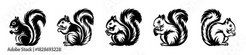 Collection of five detailed black and white line art sketches of squirrels in various poses