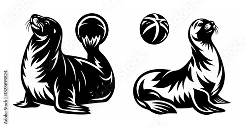 Dynamic duo of trained seals performing amazing ball balancing acts in a circus show