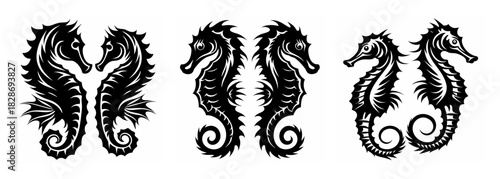 Tribal style seahorse pair graphic design elements ocean marine life aquatic creature art
