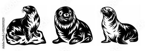 Three dark seals sitting on a white surface depicted in a textured black and white artistic style