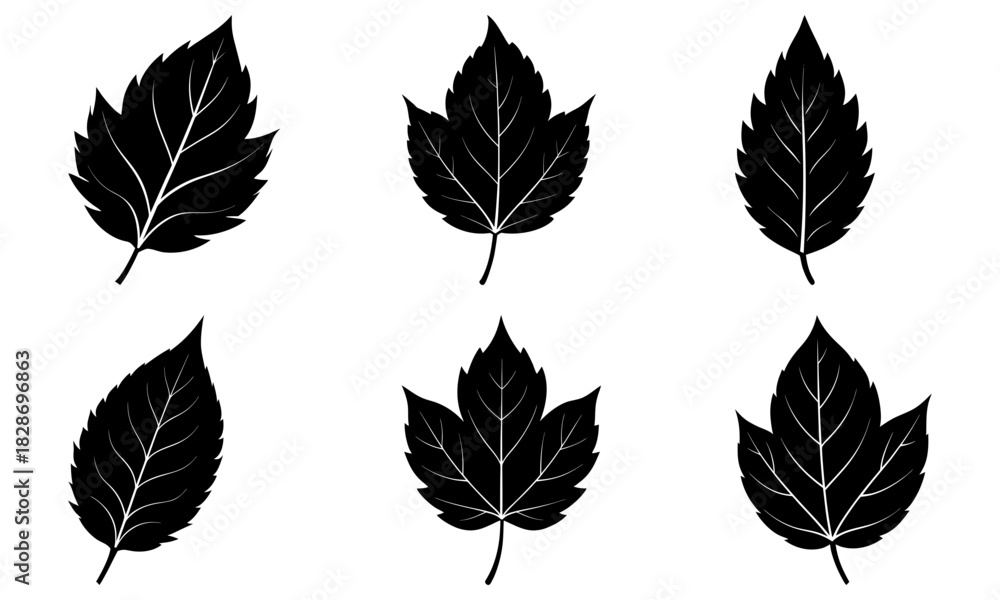 Obraz premium Botanical elegance: Black leaf silhouettes create modern, nature-inspired designs for branding, invitations, and earthy minimalist projects, originally vector graphics