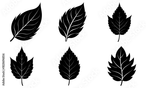Elegant botanical set of diverse leaf silhouettes for nature lovers, modern designs, or eco-friendly projects, originally a scalable vector graphic