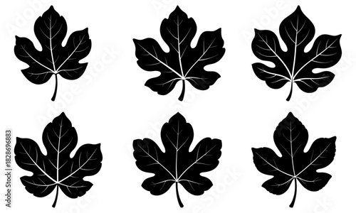 Stylish fig leaf pattern adds a touch of nature's elegance, perfect for botanical designs, textiles, and organic brand elements enhancing visual appeal