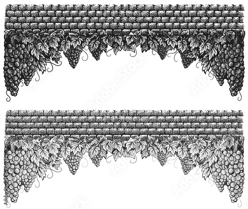 Grapes vineyard, grapevine with bunches of grapes on vintage stone wall black and white vector illustration. Set of sketch style vine branches leaves in two variants. Wine labels design, branding bord
