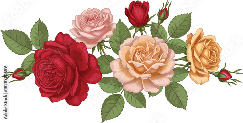 Vintage botanical illustration of a romantic rose bouquet with green leaves