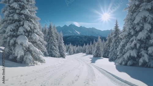 winter landscape in the mountains