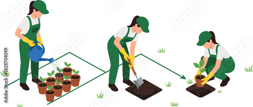 Woman Gardener Nurturing and Planting Seedlings: Detailed Isometric Illustration of Spring Gardening Process, Featuring Watering Potted Plants, Digging Soil with Shovel, and Transplanting 