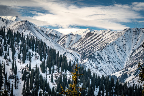 winter mountain landscape