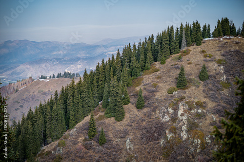 yosemite national park