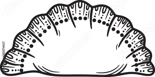 Elegant sea shell drawing illustration with decorative elements in black ink