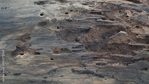 Weathered wooden surface texture. Focus selected