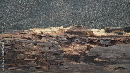 Pieces of weathered wood on the beach sand. Focus selected