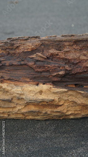 Pieces of weathered wood on the beach sand. Focus selected