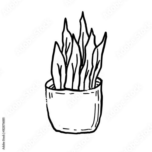 leaf bush plant in pot doodle hand drawn line vector
