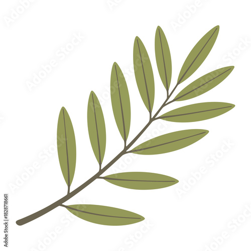 Elegant green olive branch botanical element, isolated vector graphic