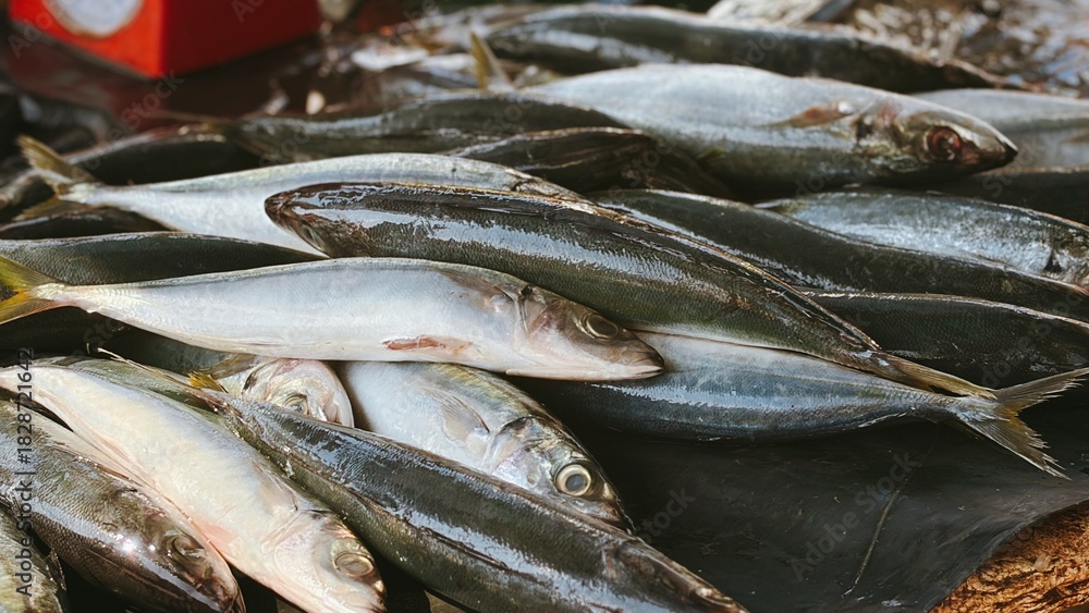 Obraz premium Freshly Caught Sardines Displayed at Market