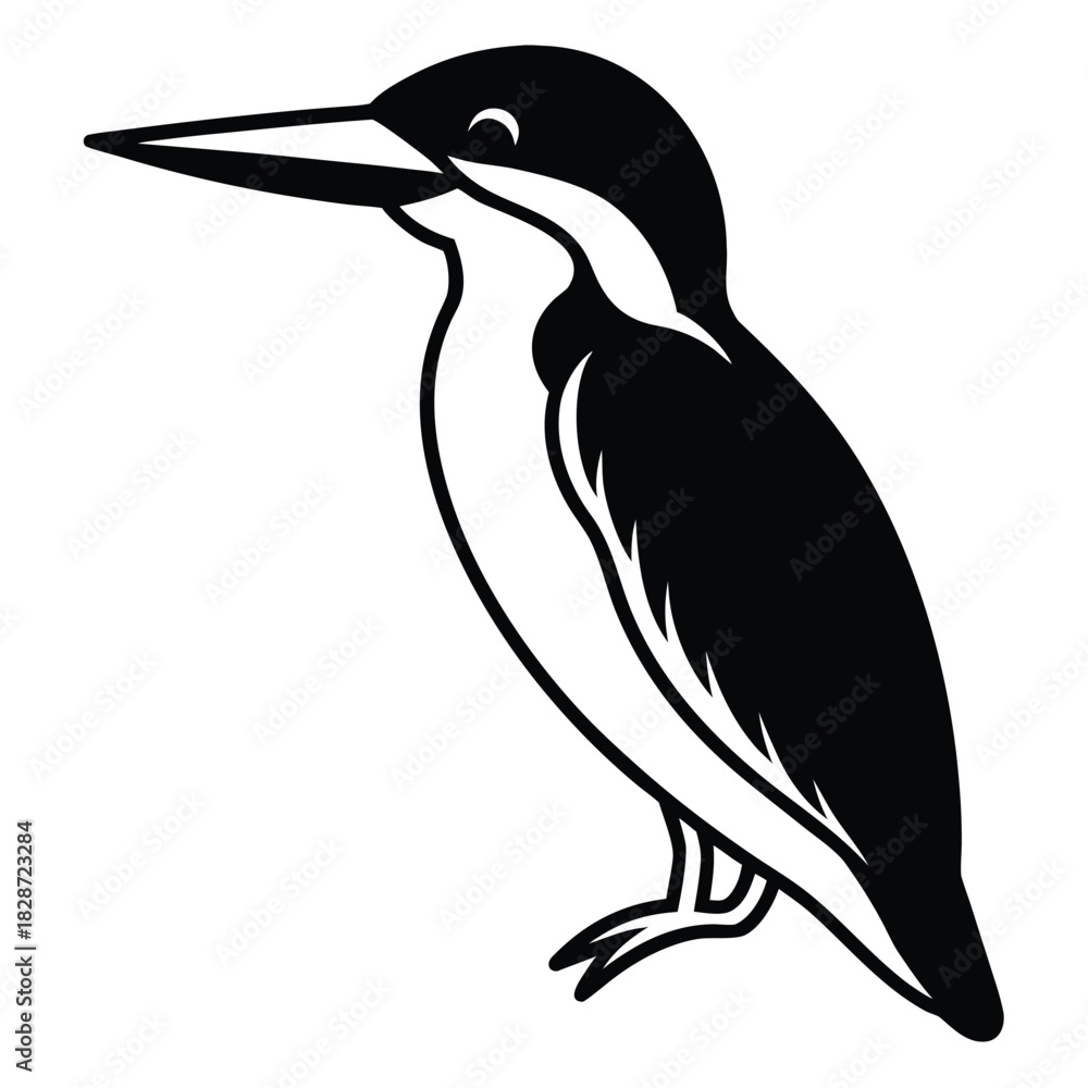 Fototapeta premium Black crowned night heron vector illustration of a black bird in nature