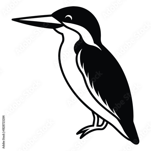 Black crowned night heron vector illustration of a black bird in nature