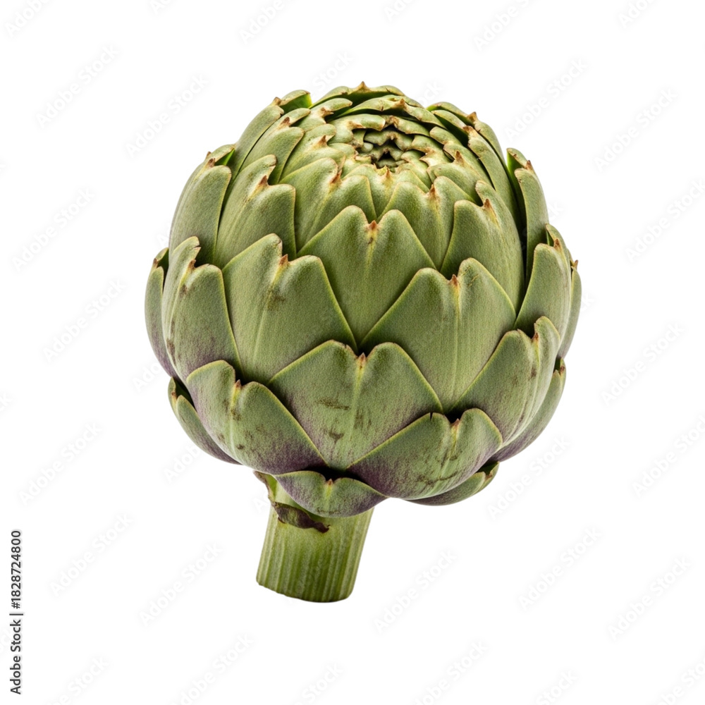 Obraz premium Fresh Green Artichoke Isolated on Transparent Background 
