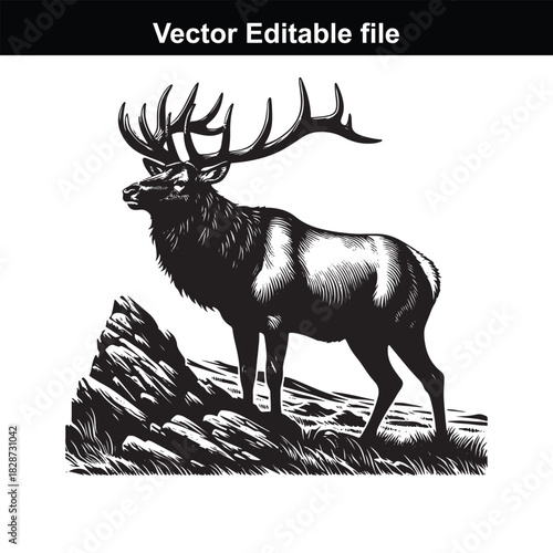 Majestic bull elk standing proudly on a rocky mountain slope, a symbol of wilderness and natures grandeur