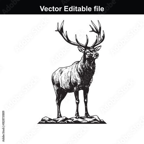 Majestic stag with large antlers standing on a rocky outcrop, detailed black and white illustration, vector editable file