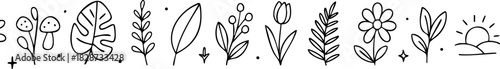 Botanical Leaves Doodle Line Illustration, Minimal plant-themed doodle banner with various leaf shapes, flowers, and organic elements in black line art style.