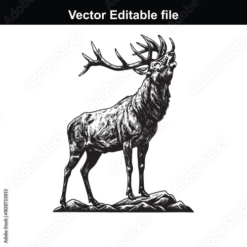 Majestic stag with large antlers roaring on a rocky outcrop, detailed black and white illustration, vector editable file