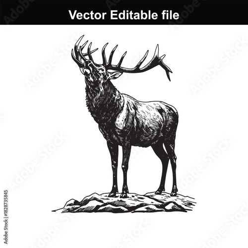 Majestic stag with large antlers standing on a rocky outcrop, roaring with its head held high, detailed illustration