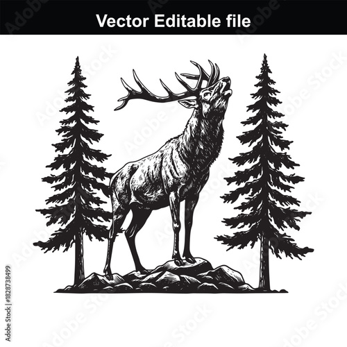Majestic stag with large antlers standing proudly on a rocky outcrop between two pine trees, evoking a sense of wilderness and natures grandeur