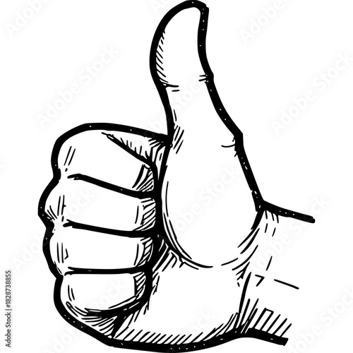 Thumbs Up Illustration: A detailed pen and ink illustration of a hand gesturing a thumbs up, conveying agreement, approval, or a positive sentiment.
