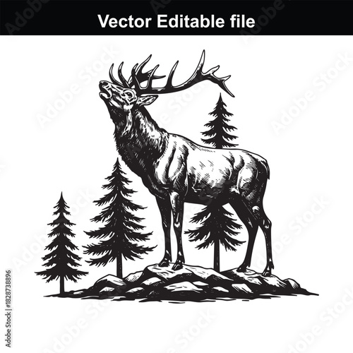 Majestic stag standing proudly on a rocky outcrop surrounded by pine trees, rendered in a classic black and white illustration style