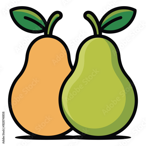 Two ripe pears green and yellow side by side illustration image