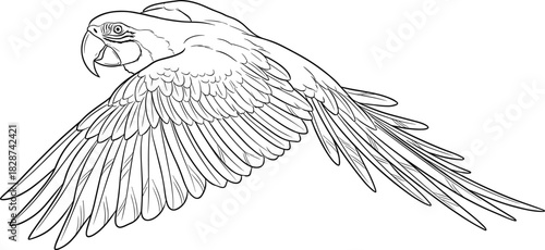 Line Art Drawing of a Flying Scarlet Macaw Parrot, Wings Spread, Detailed Feather Texture, Tropical Wildlife Illustration, Vector Outline Sketch, Coloring Book Page