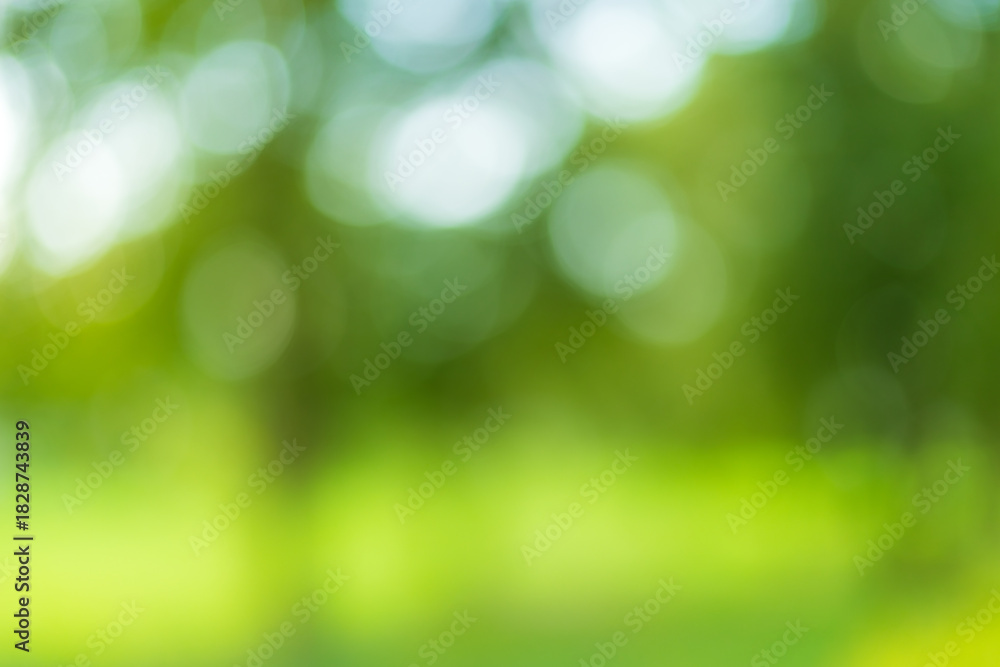 Obraz premium nature background,Green bokeh background from nature forest out of focus.