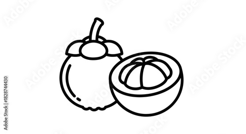 Vector illustration of mangosteen, whole and half, line art illustration
